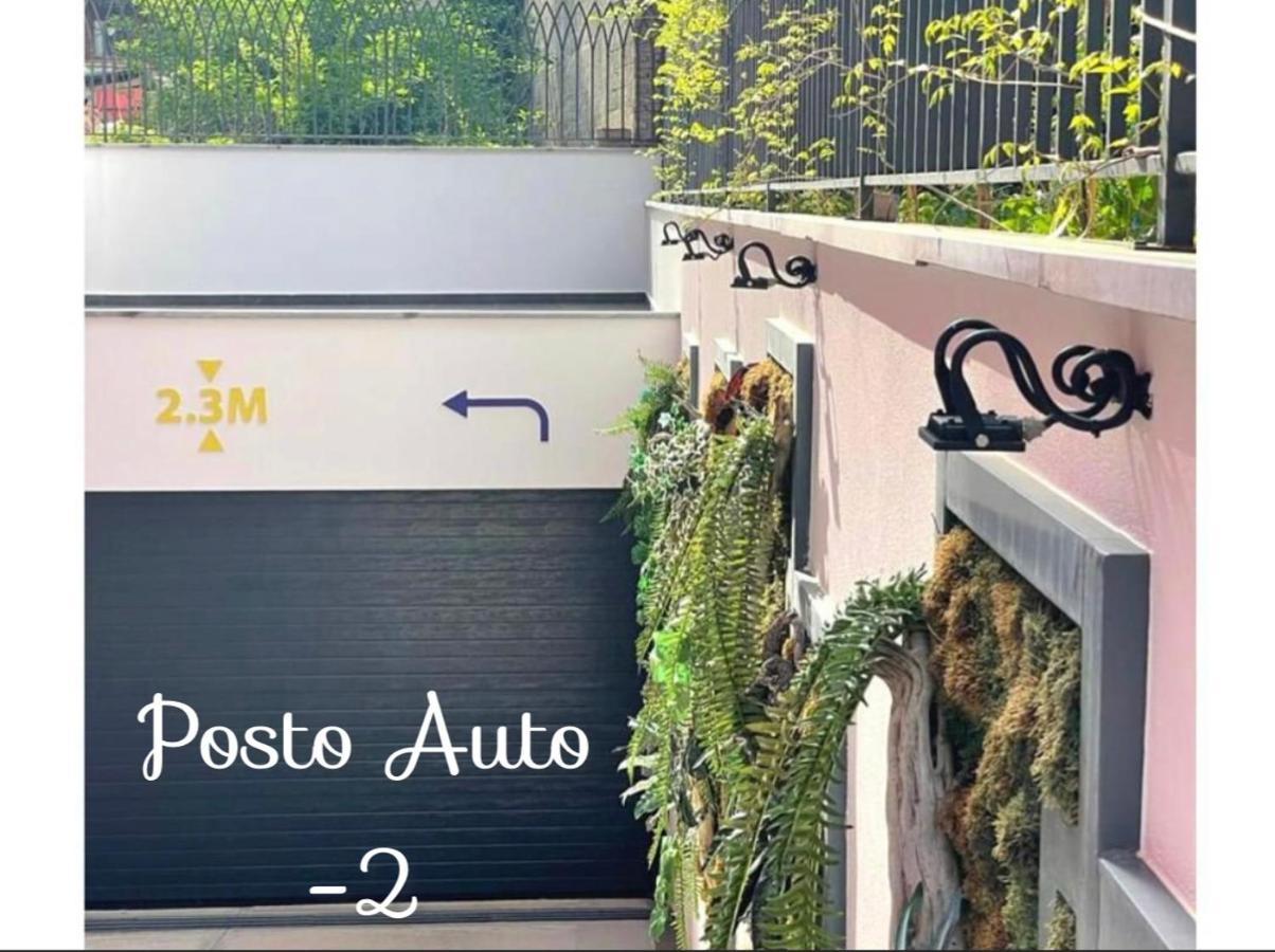 Alma Rose Apartment 科尔察 外观 照片
