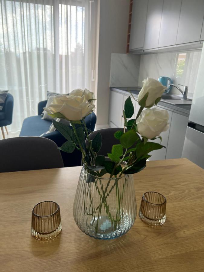 Alma Rose Apartment 科尔察 外观 照片
